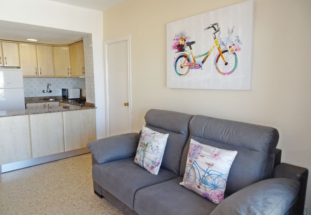 Apartamento en Gandia - BONAIRE E5 - 11º   /   PLAYA DE GANDIA