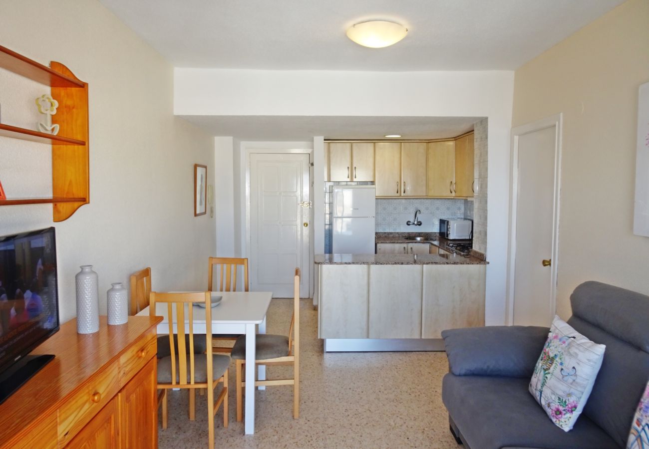 Apartamento en Gandia - BONAIRE E5 - 11º   /   PLAYA DE GANDIA
