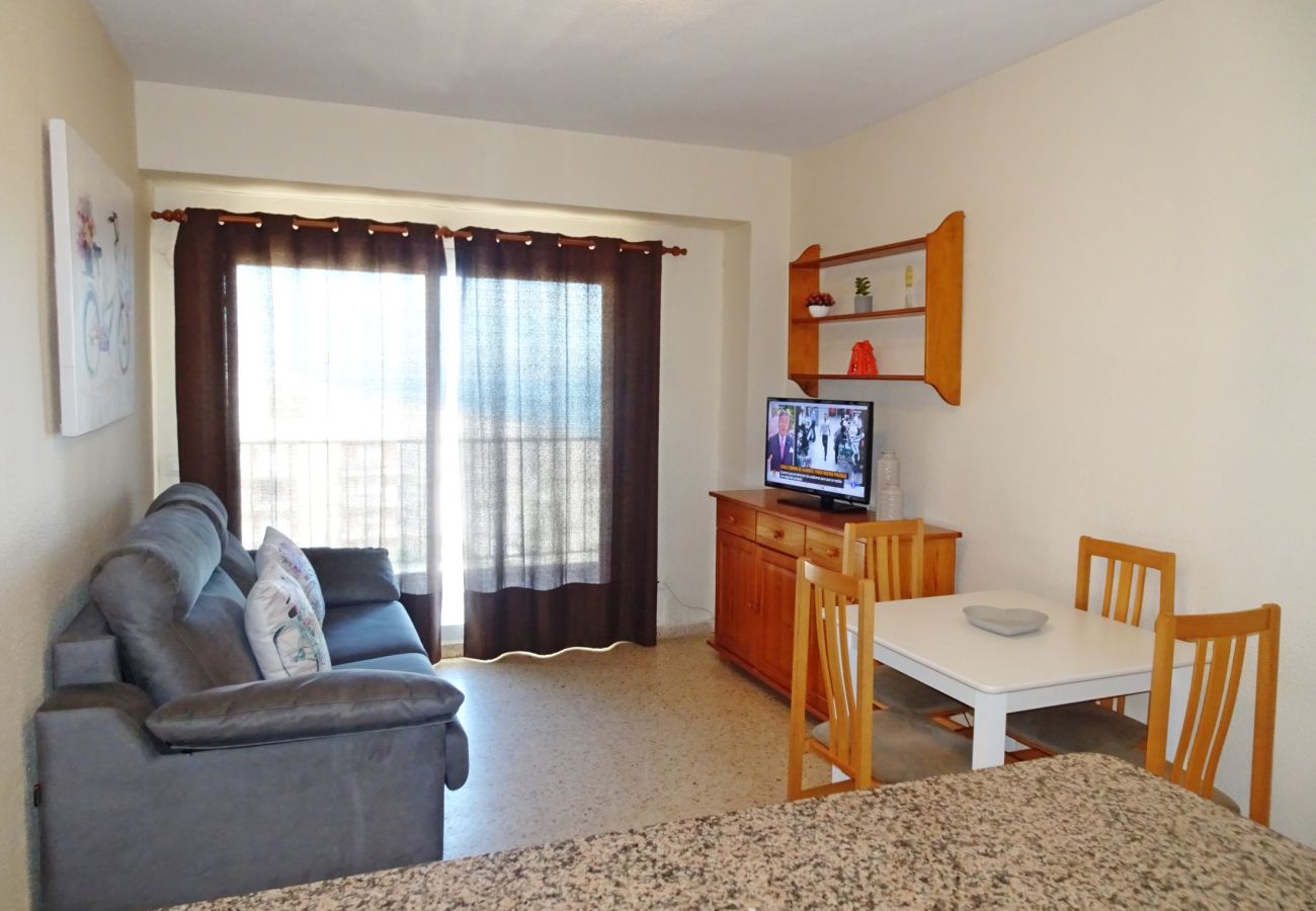 Apartamento en Gandia - BONAIRE E5 - 11º   /   PLAYA DE GANDIA