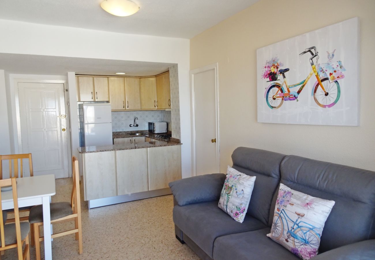 Apartamento en Gandia - BONAIRE E5 - 11º   /   PLAYA DE GANDIA