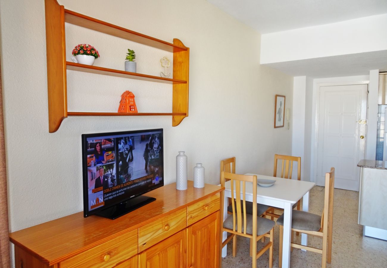 Apartamento en Gandia - BONAIRE E5 - 11º   /   PLAYA DE GANDIA