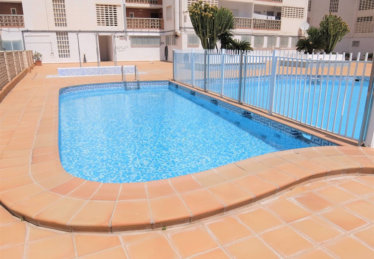 Apartamento en Gandia - BONAIRE E5 - 11º   /   PLAYA DE GANDIA