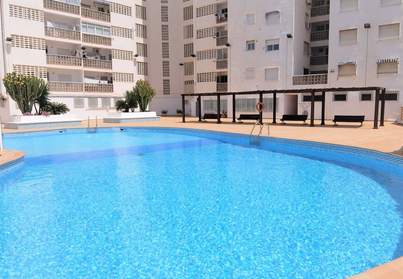 Apartamento en Gandia - BONAIRE E5 - 11º   /   PLAYA DE GANDIA