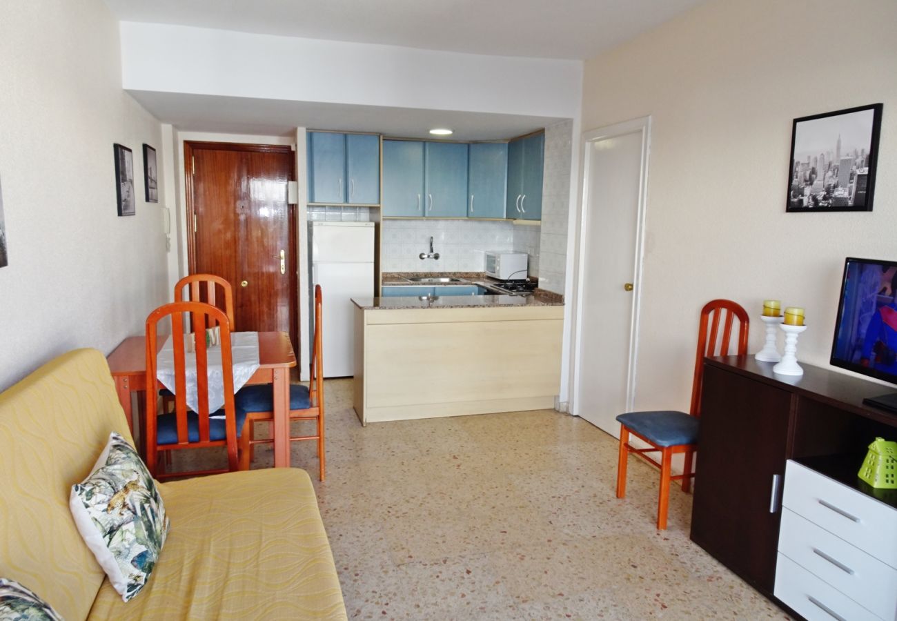 Apartamento en Gandia - BONAIRE E9 - 4º   /   PLAYA DE GANDIA