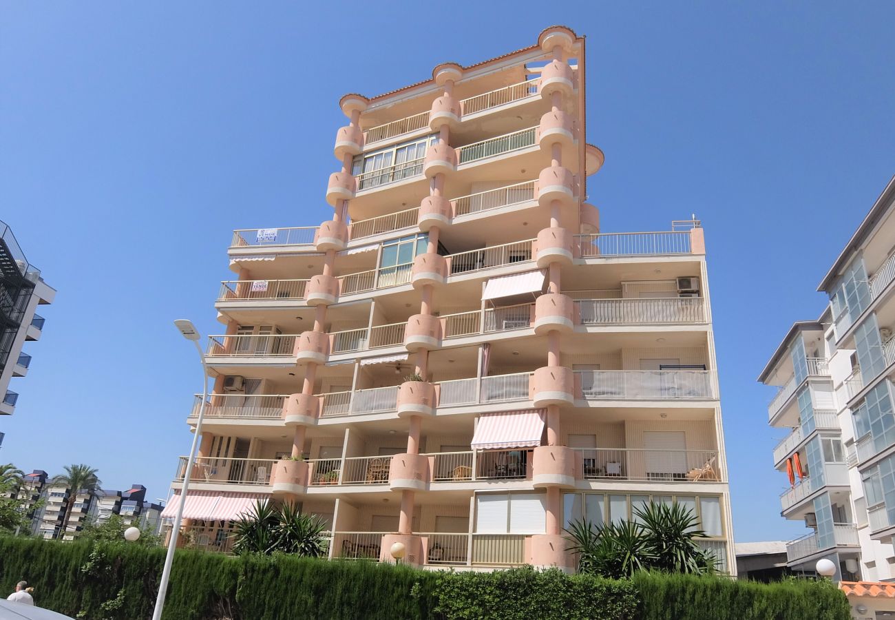 Apartamento en Gandia - AMERICAS 2º - 8   /   PLAYA DE GANDIA