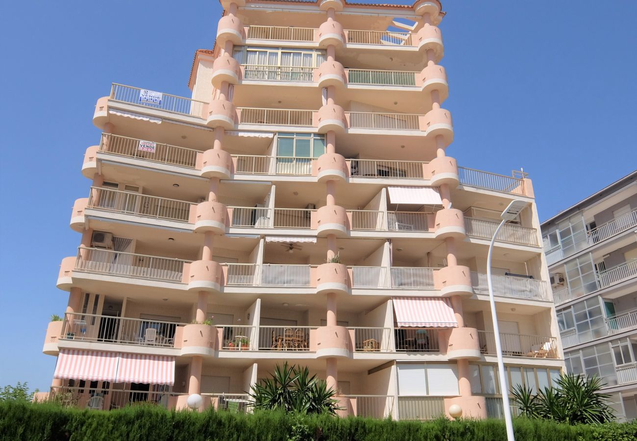 Apartamento en Gandia - AMERICAS 2º - 8   /   PLAYA DE GANDIA