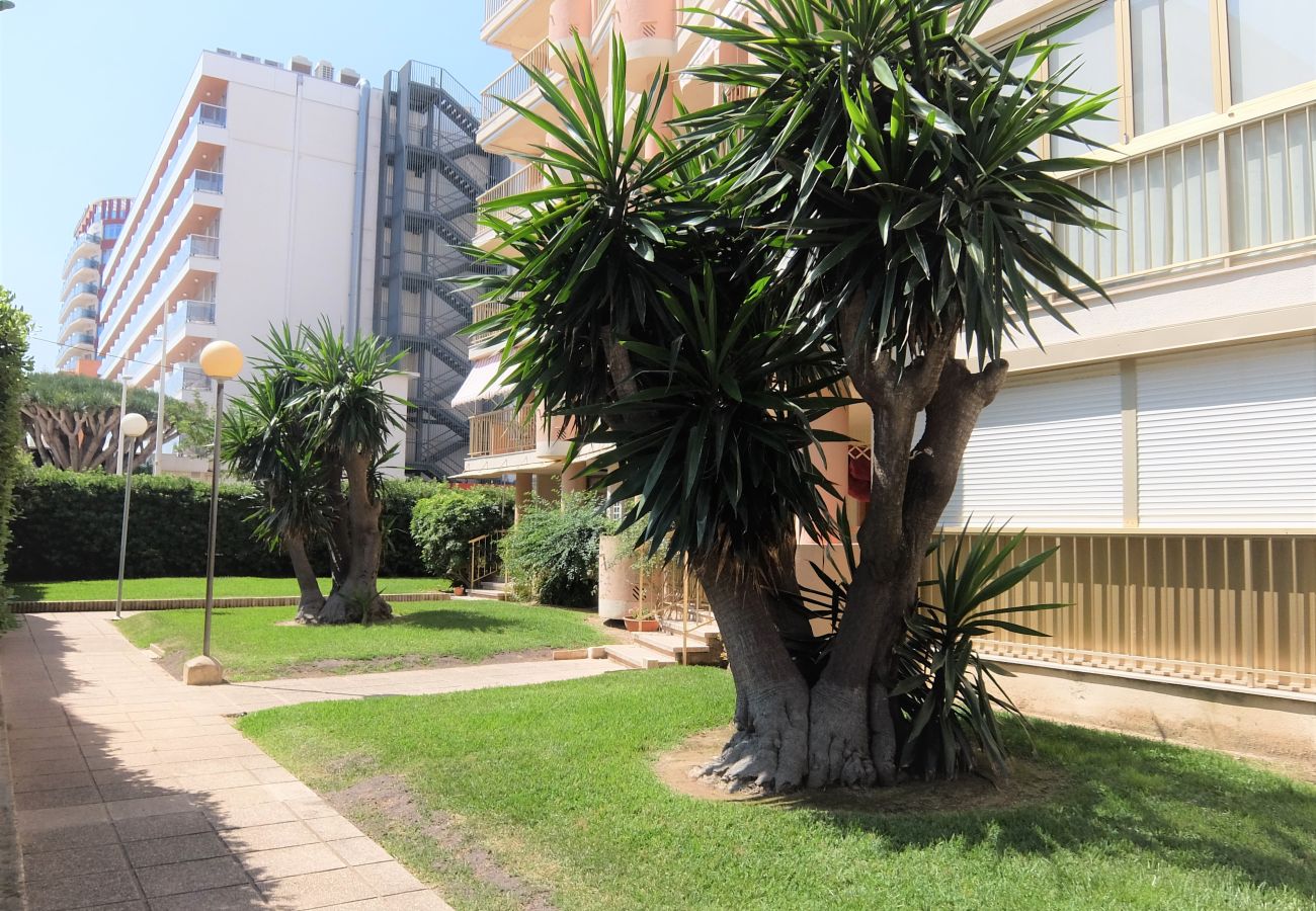 Apartamento en Gandia - AMERICAS 2º - 8   /   PLAYA DE GANDIA