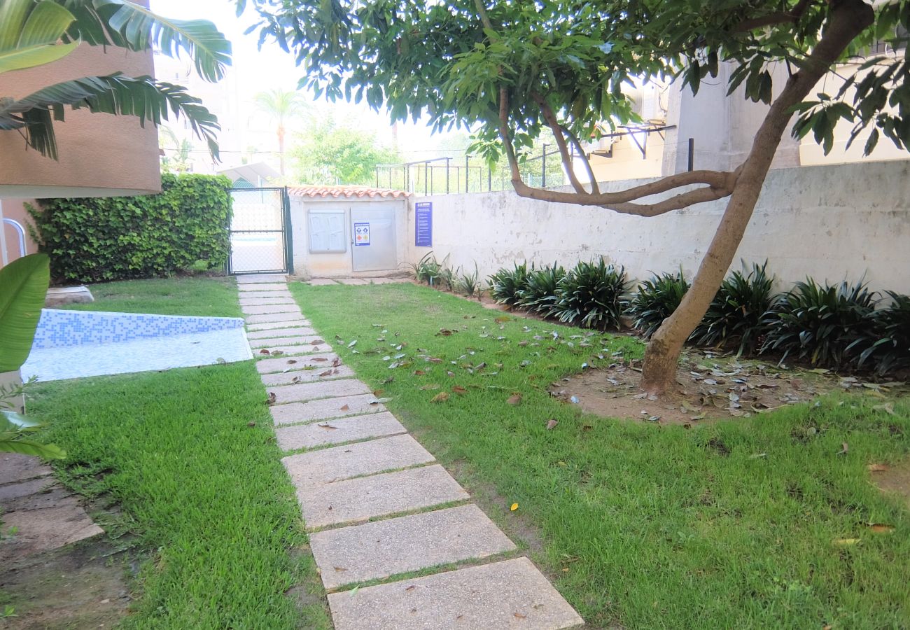 Apartamento en Gandia - AMERICAS 2º - 8   /   PLAYA DE GANDIA