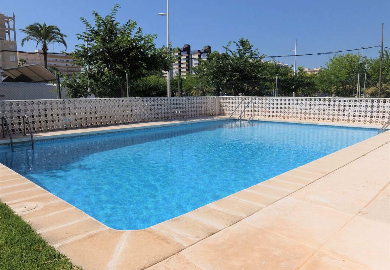 Apartamento en Gandia - AMERICAS 2º - 8   /   PLAYA DE GANDIA