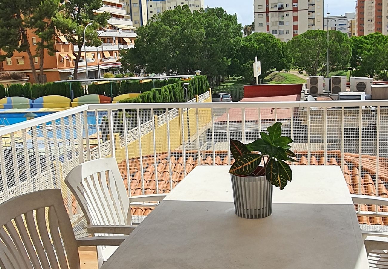 Apartamento en Gandia - BALADRE PARQUE 2º - A   /   PLAYA DE GANDIA