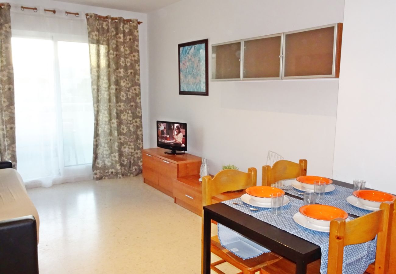Apartamento en Gandia - BITACORA IX - 2º   /   PLAYA DE GANDIA