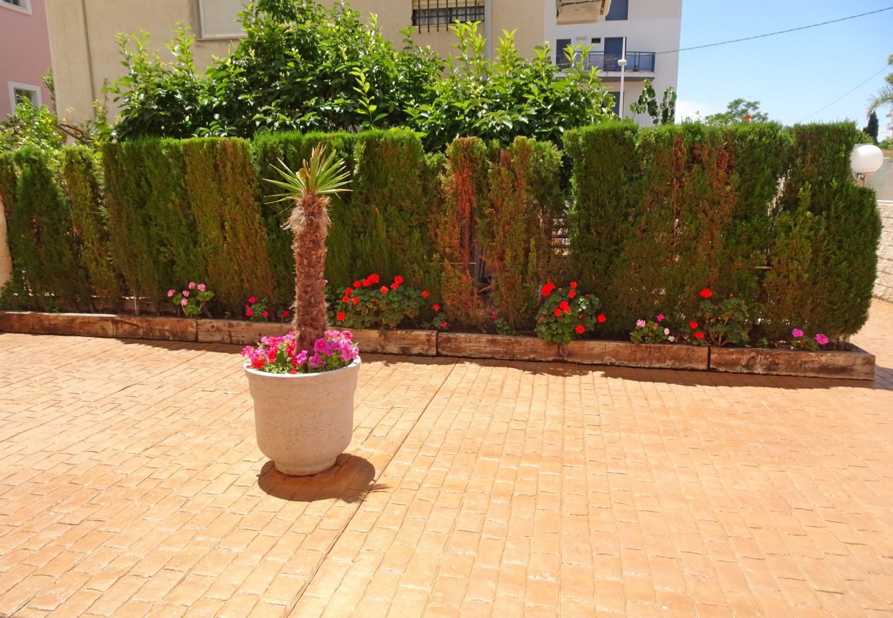 Apartamento en Gandia - BITACORA IX - 2º   /   PLAYA DE GANDIA