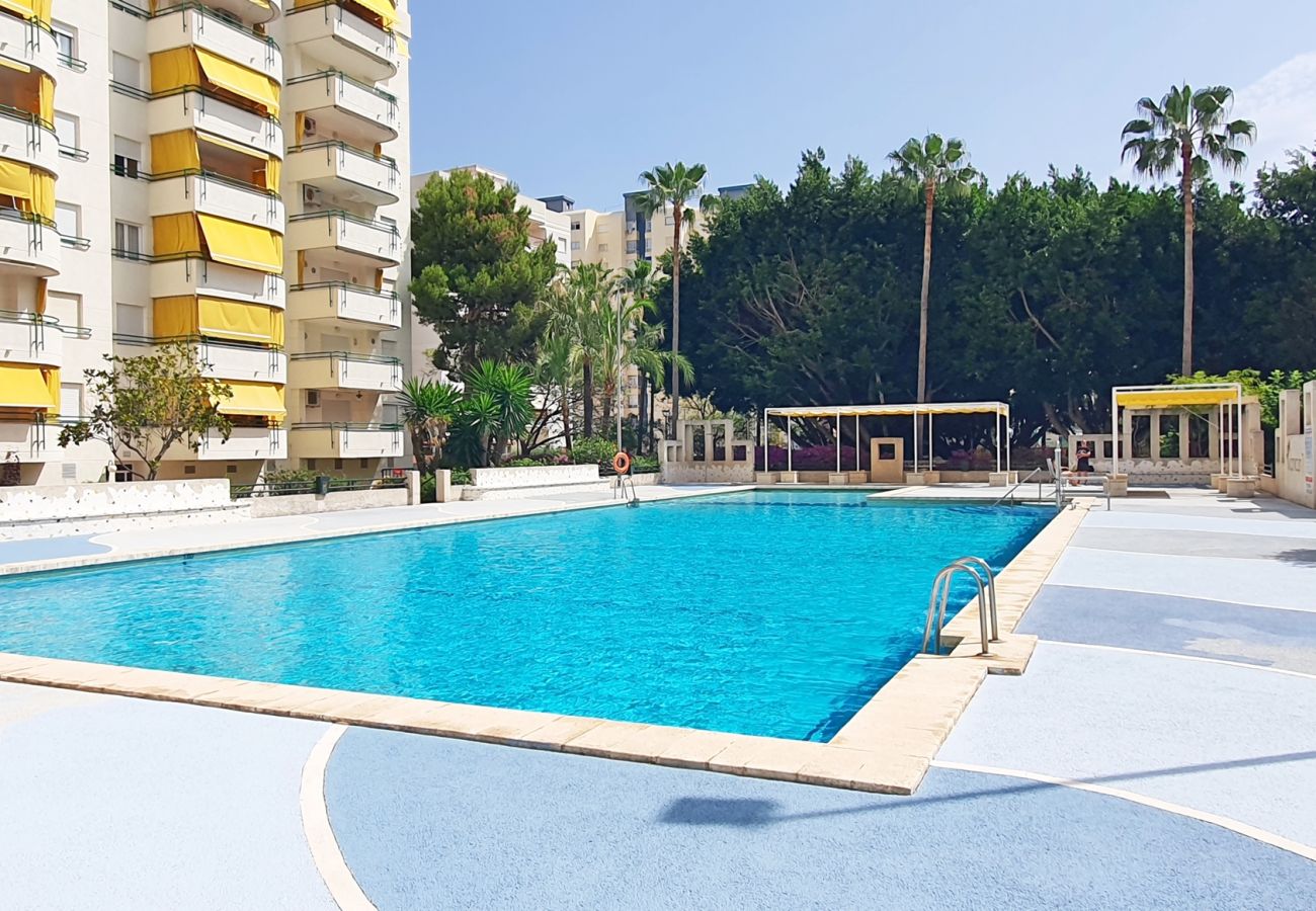 Apartamento en Gandia - CANCUN VII - 2º - T   /   PLAYA DE GANDIA