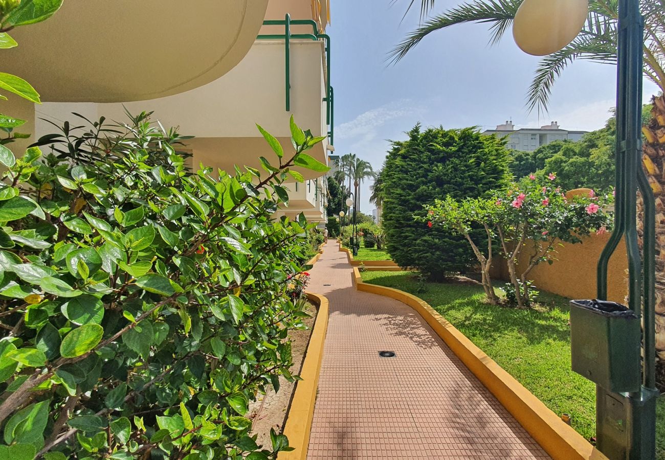 Apartamento en Gandia - CANCUN VII - 2º - T   /   PLAYA DE GANDIA