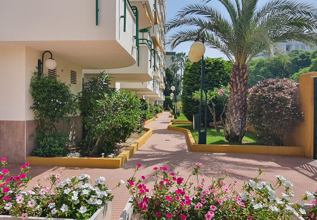 Apartamento en Gandia - CANCUN VII - 2º - T   /   PLAYA DE GANDIA