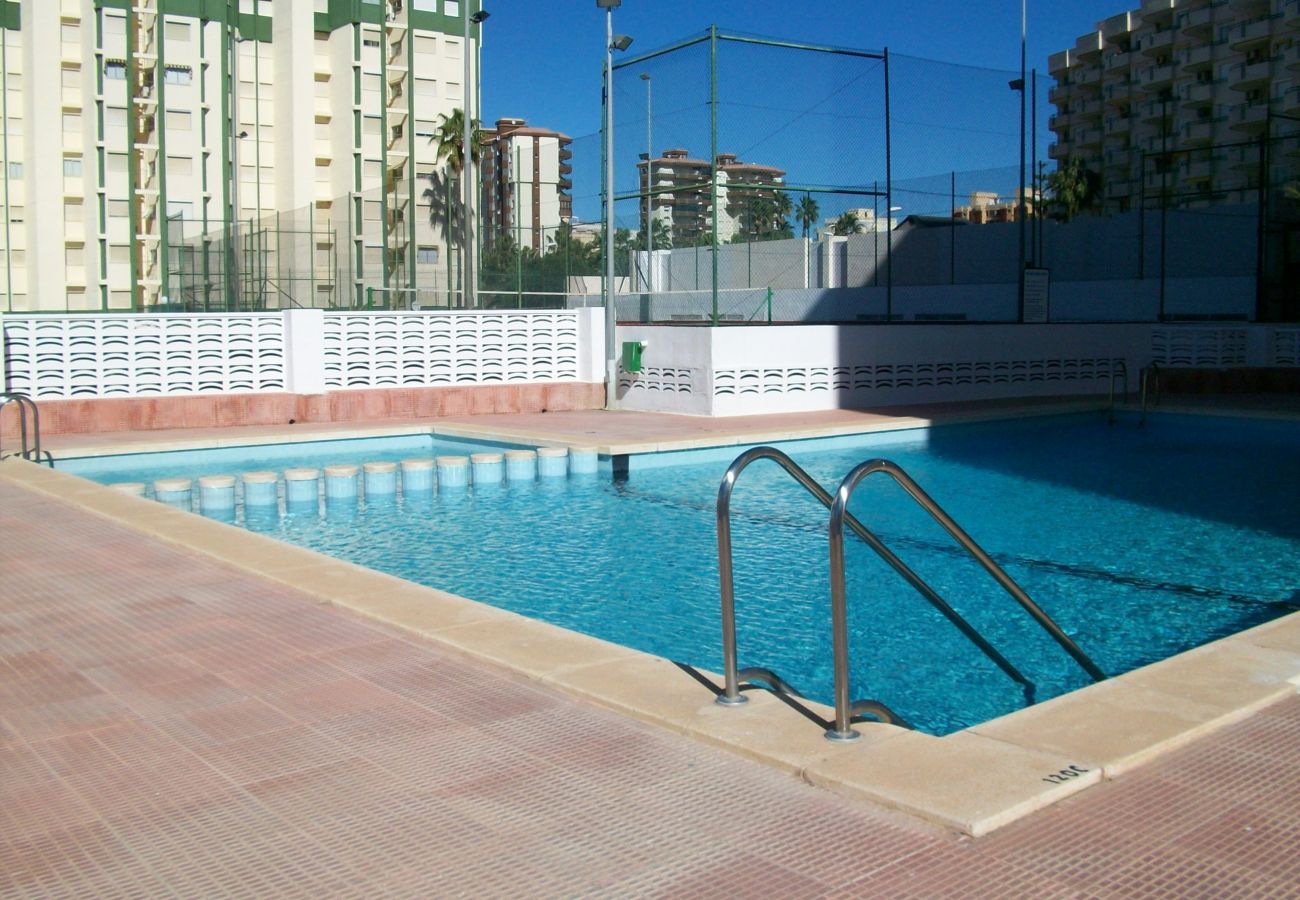 Apartamento en Gandia - CANCUN IV - 9º - E   /   PLAYA DE GANDIA