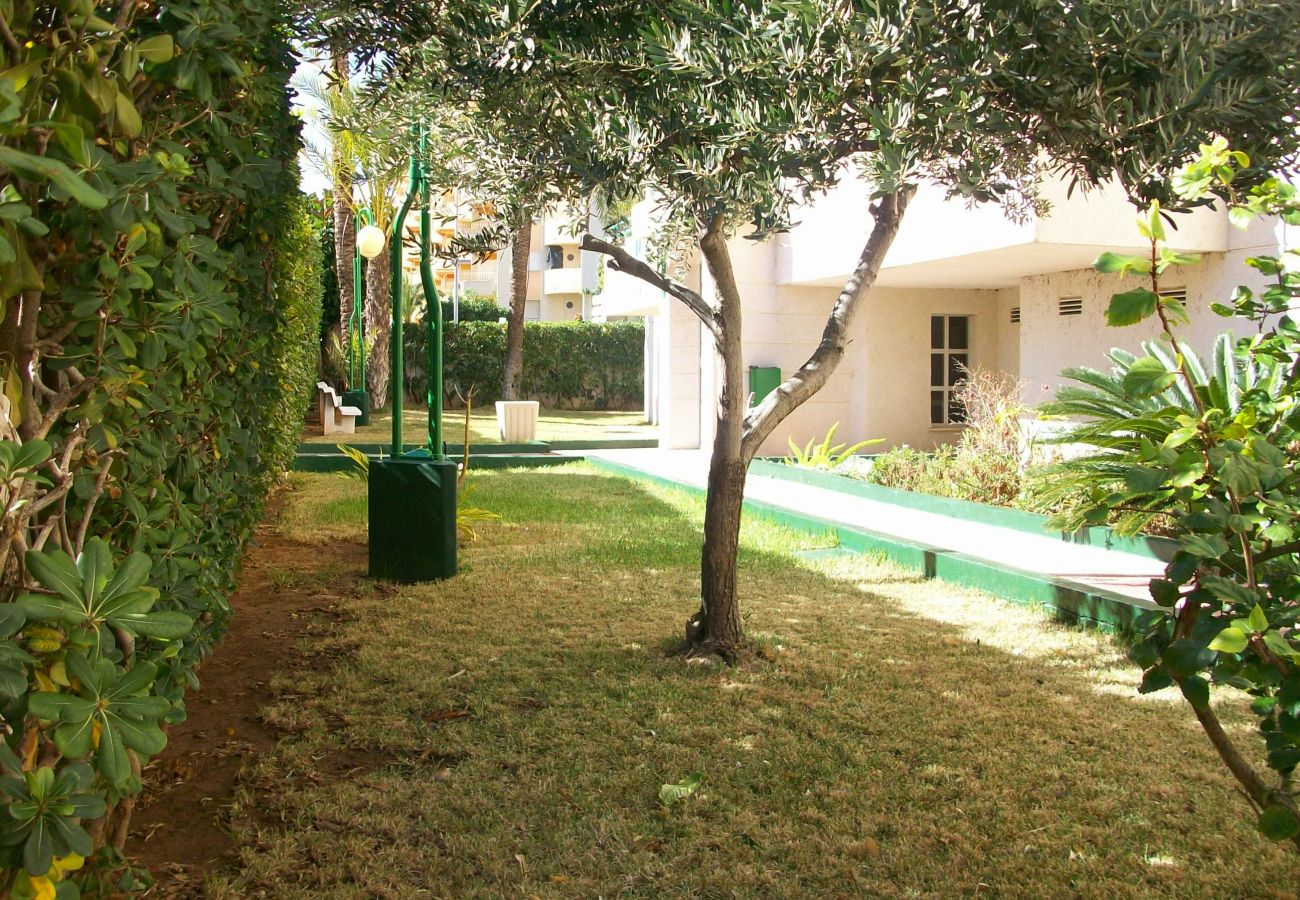 Apartamento en Gandia - CANCUN IV - 9º - E   /   PLAYA DE GANDIA