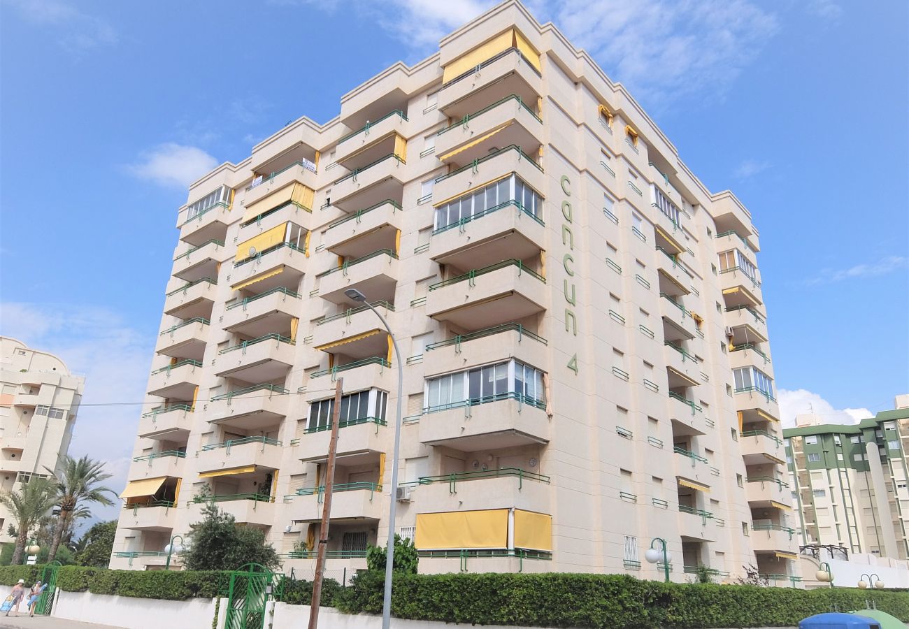 Apartamento en Gandia - CANCUN IV - 1ª - 9º C   /  PLAYA DE GANDIA