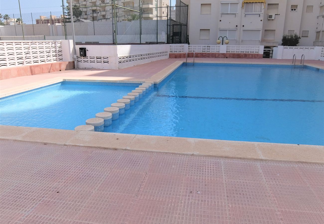 Apartamento en Gandia - CANCUN IV - 1ª - 9º C   /  PLAYA DE GANDIA