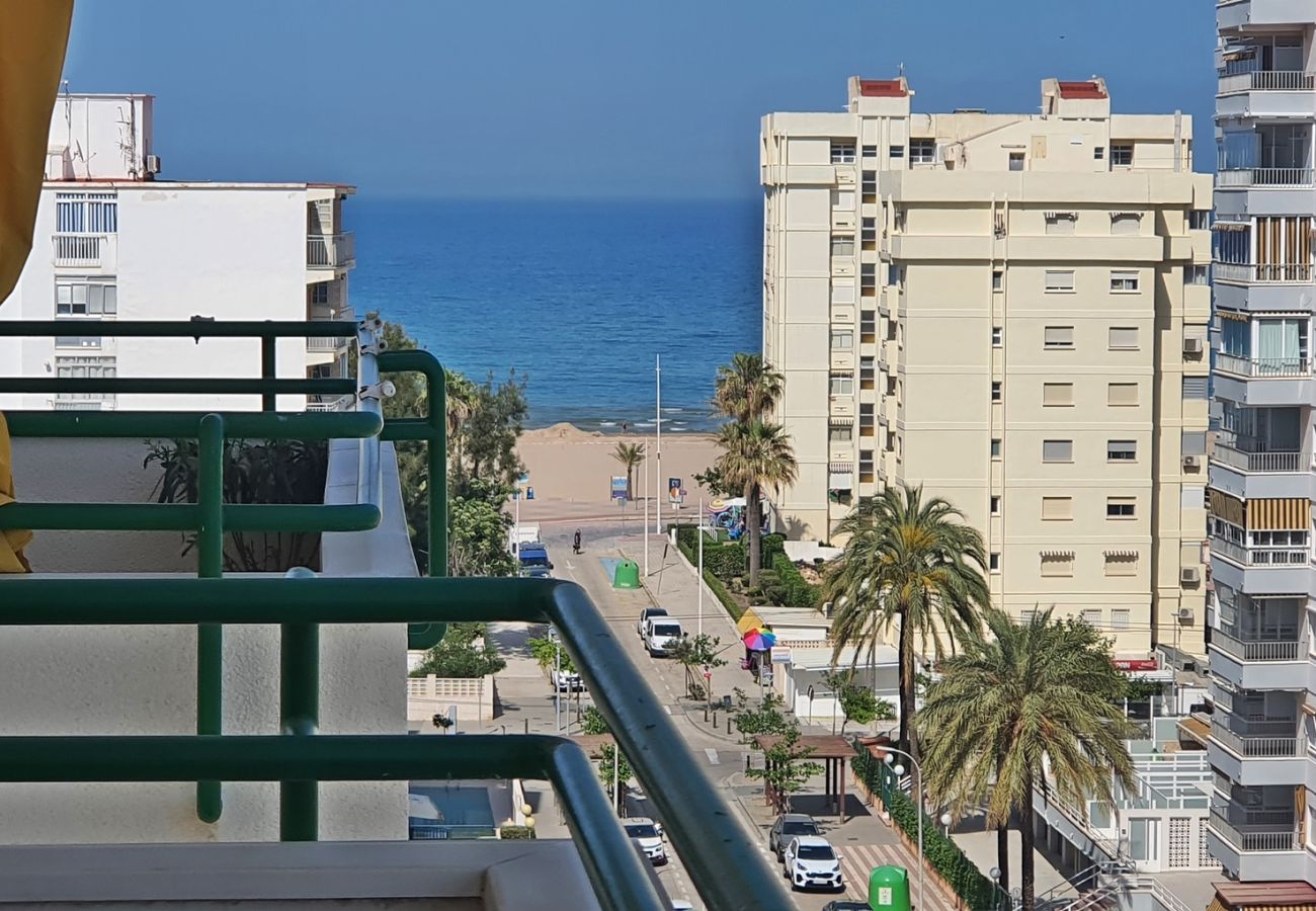 Apartamento en Gandia - CANCUN IV - 1ª - 9º C   /  PLAYA DE GANDIA