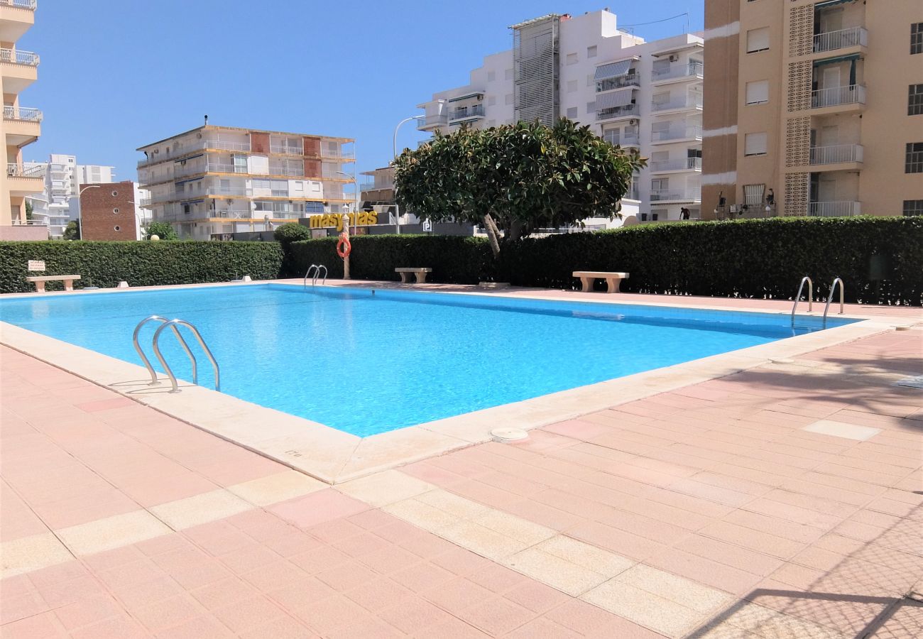 Apartamento en Gandia - CANTABRIA 9º - 94ª   /   PLAYA DE GANDIA