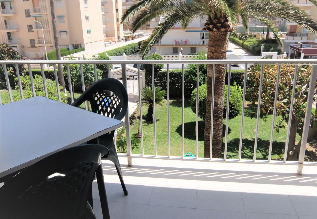 Apartamento en Gandia - CANTABRIA 9º - 94ª   /   PLAYA DE GANDIA