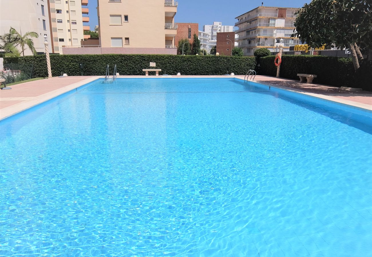 Apartamento en Gandia - CANTABRIA 9º - 94ª   /   PLAYA DE GANDIA