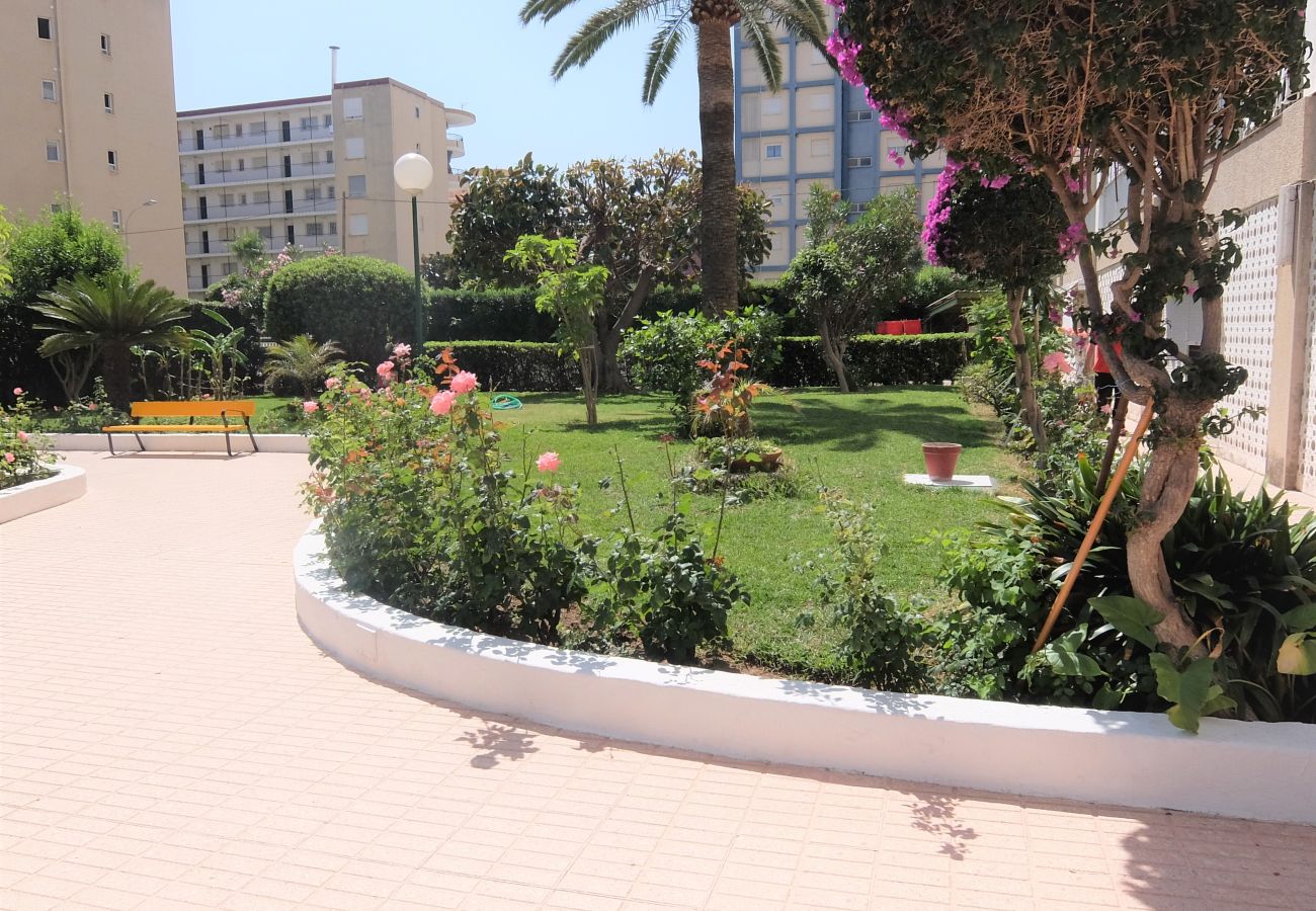 Apartamento en Gandia - CANTABRIA 9º - 94ª   /   PLAYA DE GANDIA
