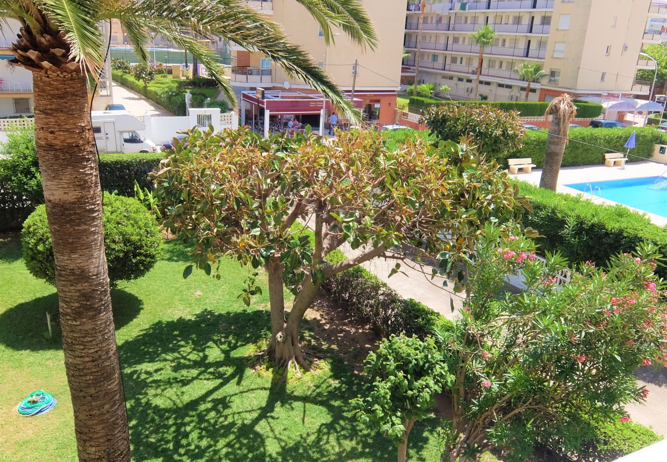 Apartamento en Gandia - CANTABRIA 9º - 94ª   /   PLAYA DE GANDIA
