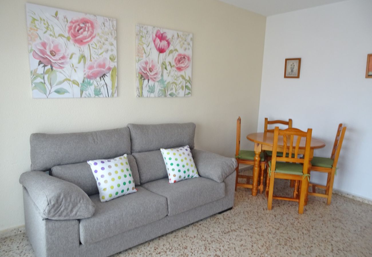 Apartamento en Gandia - CANTABRIA 9º - 94ª   /   PLAYA DE GANDIA