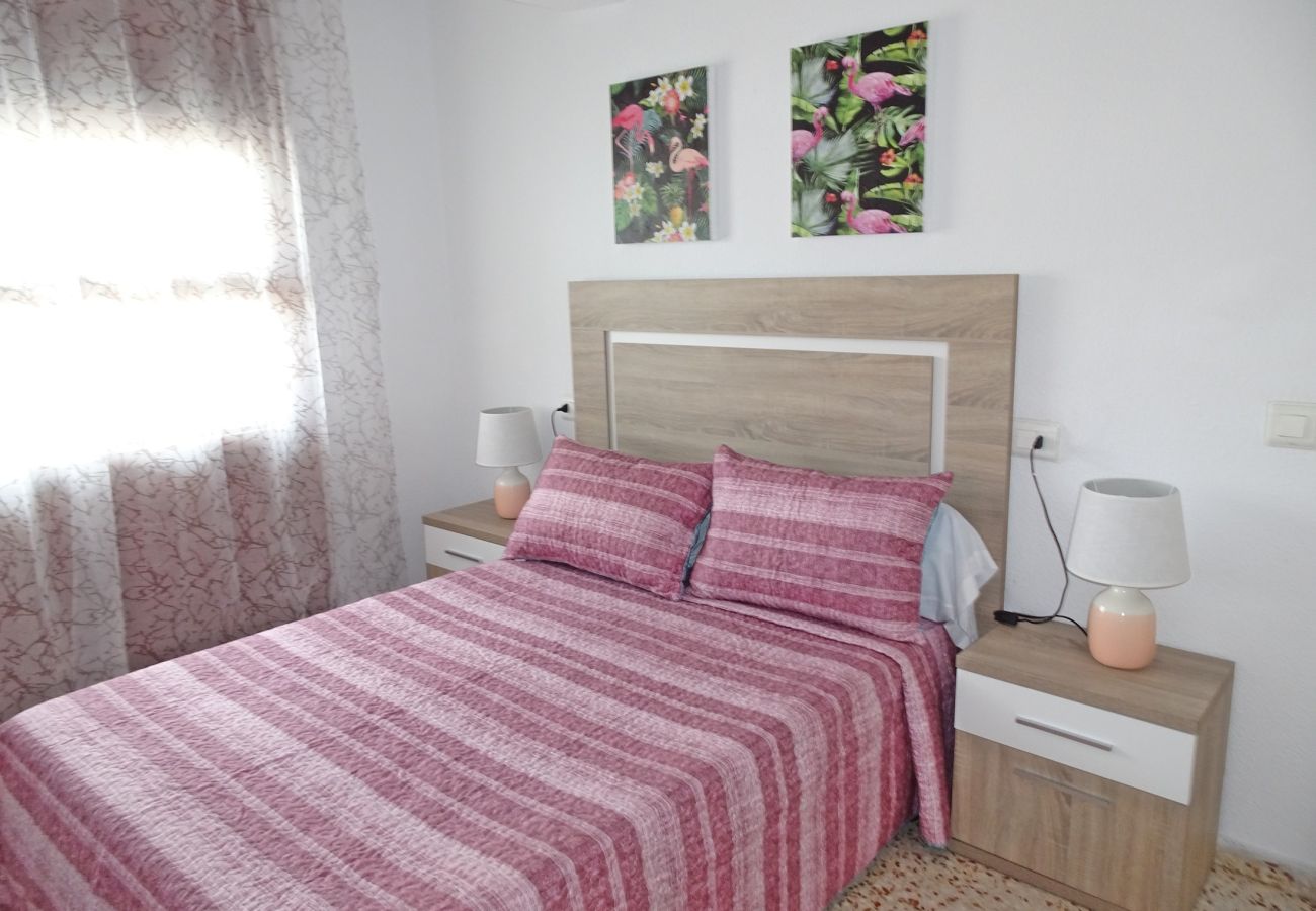 Apartamento en Gandia - CANTABRIA 9º - 94ª   /   PLAYA DE GANDIA