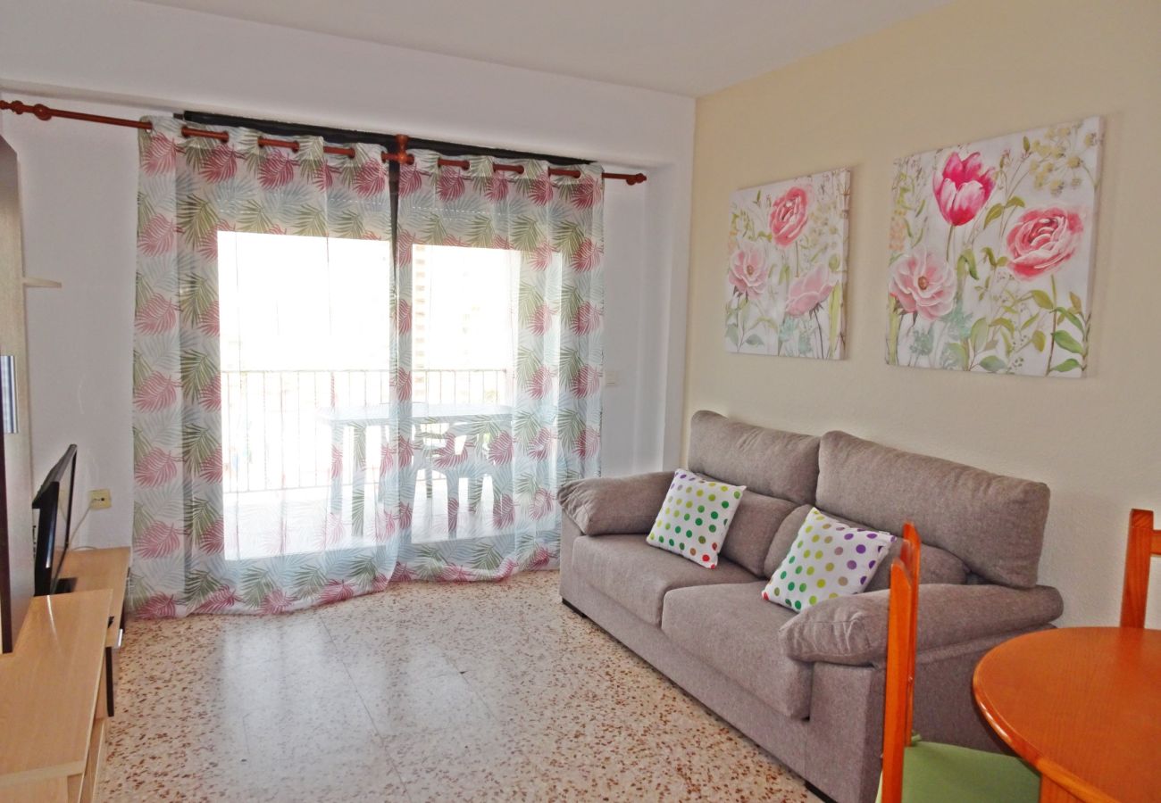 Apartamento en Gandia - CANTABRIA 9º - 94ª   /   PLAYA DE GANDIA
