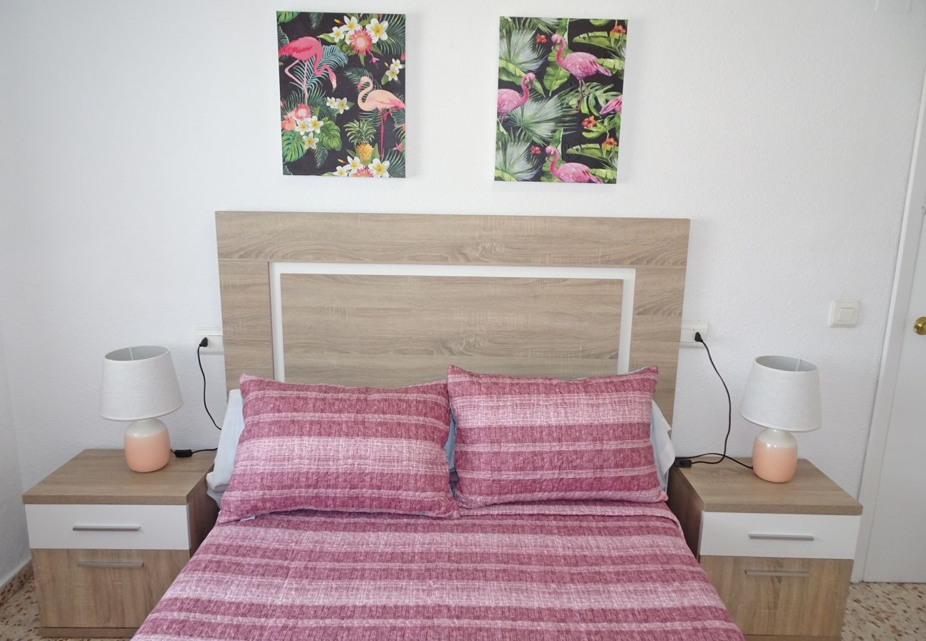 Apartamento en Gandia - CANTABRIA 9º - 94ª   /   PLAYA DE GANDIA