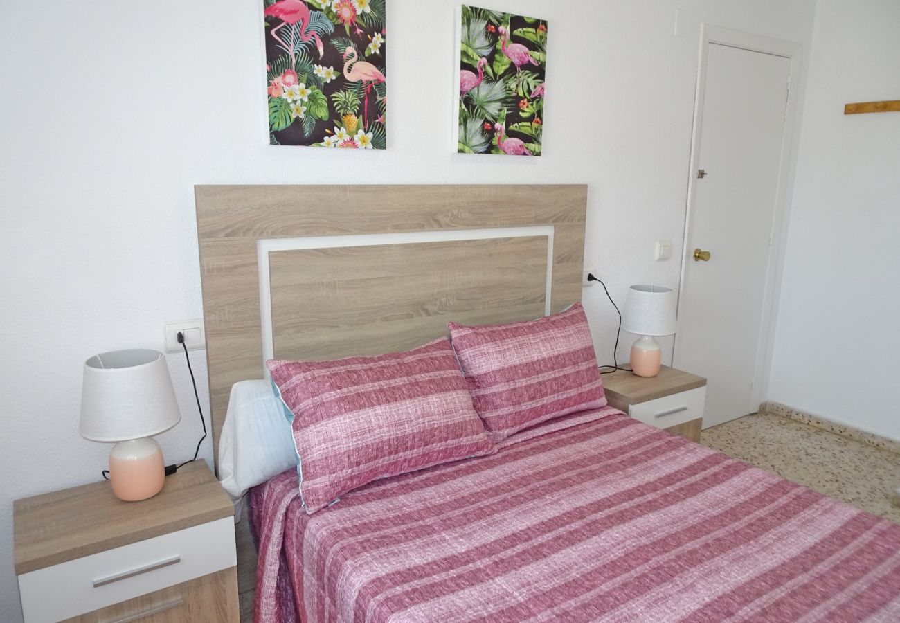 Apartamento en Gandia - CANTABRIA 9º - 94ª   /   PLAYA DE GANDIA