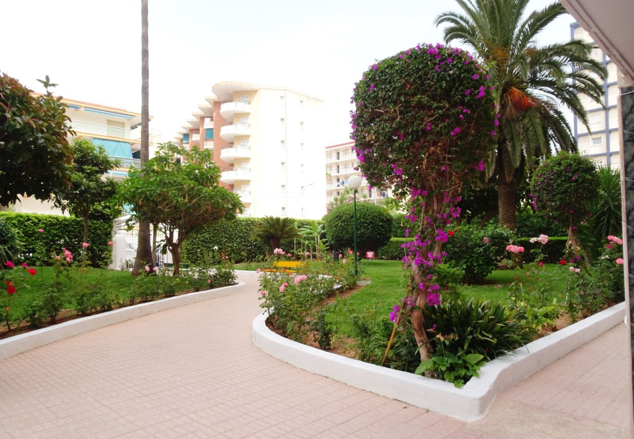 Apartamento en Gandia - CANTABRIA 9º - 94ª   /   PLAYA DE GANDIA