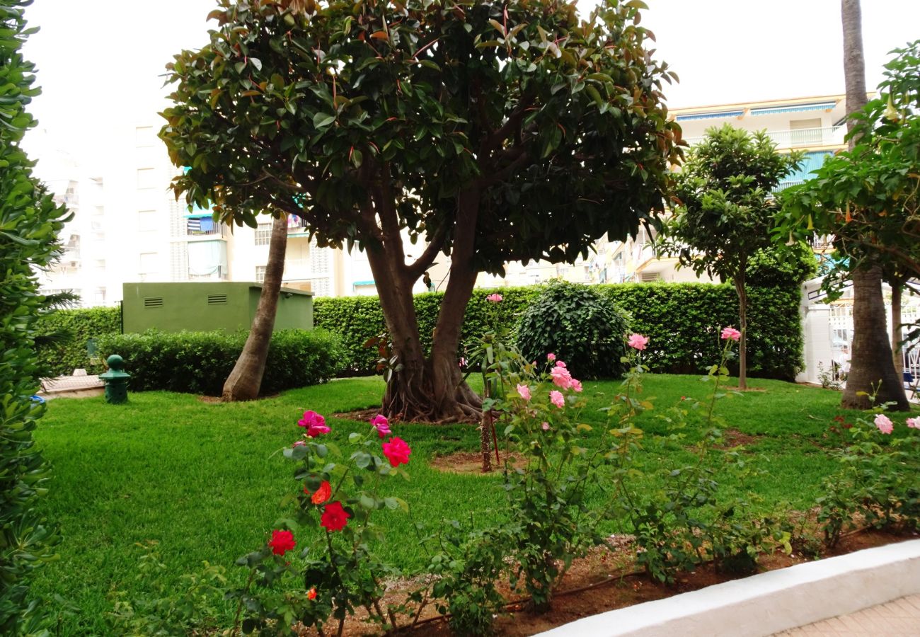 Apartamento en Gandia - CANTABRIA 9º - 94ª   /   PLAYA DE GANDIA