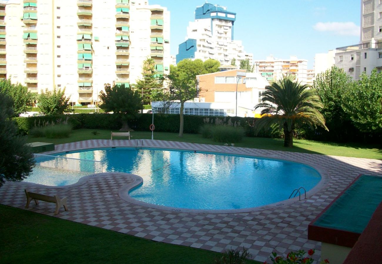 Apartamento en Gandia - DANIO D - 1º    /    EN PLAYA DE GANDIA