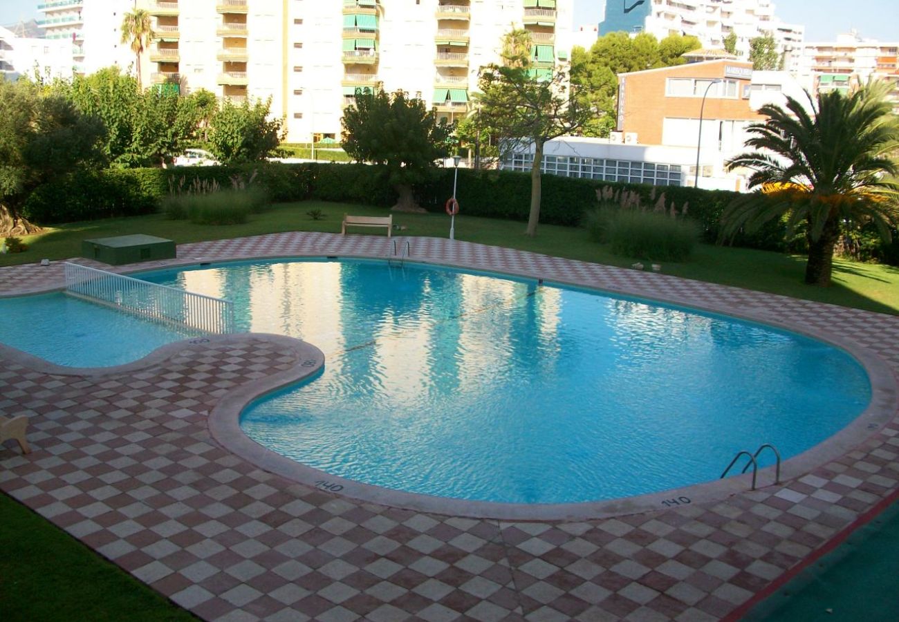 Apartamento en Gandia - DANIO 3º - D   /   EN PLAYA DE GANDIA