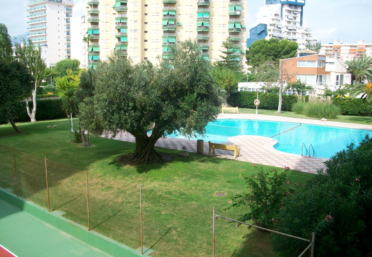 Apartamento en Gandia - DANIO 3º - D   /   EN PLAYA DE GANDIA