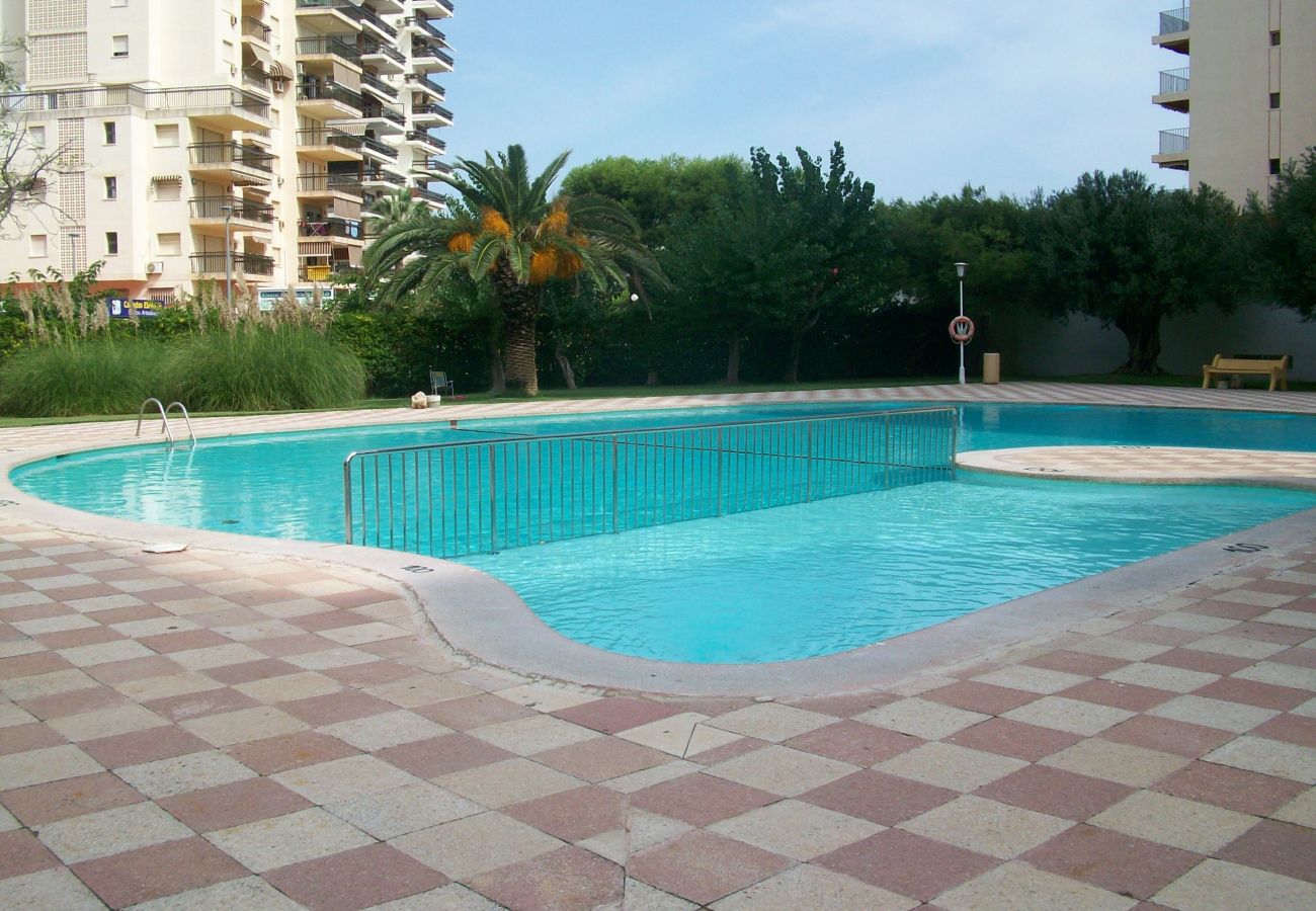 Apartamento en Gandia - DANIO 3º - D   /   EN PLAYA DE GANDIA