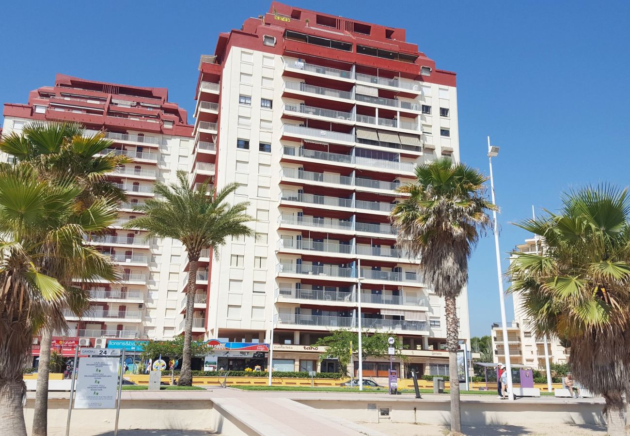 Apartamento en Gandia - DANIO 3º - D   /   EN PLAYA DE GANDIA