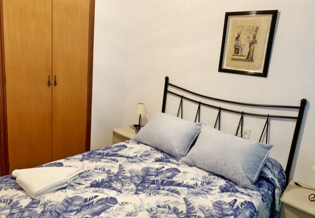 Apartamento en Gandia - DANIO 3º - D   /   EN PLAYA DE GANDIA