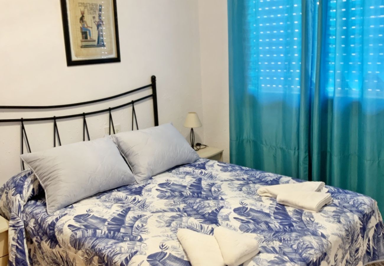 Apartamento en Gandia - DANIO 3º - D   /   EN PLAYA DE GANDIA