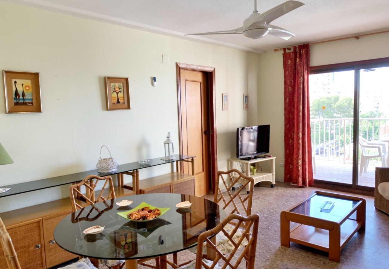 Apartamento en Gandia - DANIO 3º - D   /   EN PLAYA DE GANDIA