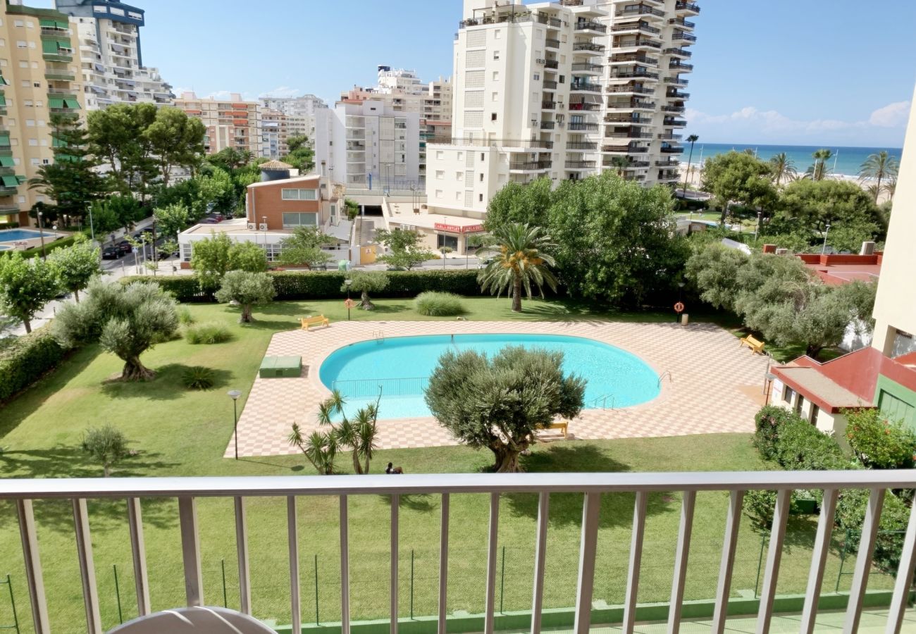 Apartamento en Gandia - DANIO 3º - D   /   EN PLAYA DE GANDIA