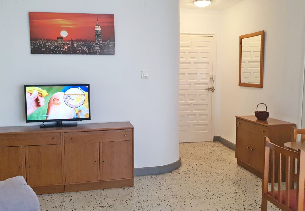 Apartamento en Gandia - DELFIN 1º - 6   /   PLAYA DE GANDIA