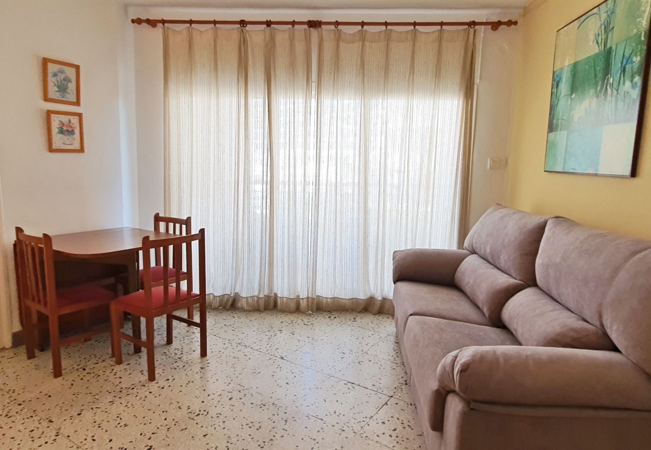 Apartamento en Gandia - DELFIN 1º - 6   /   PLAYA DE GANDIA