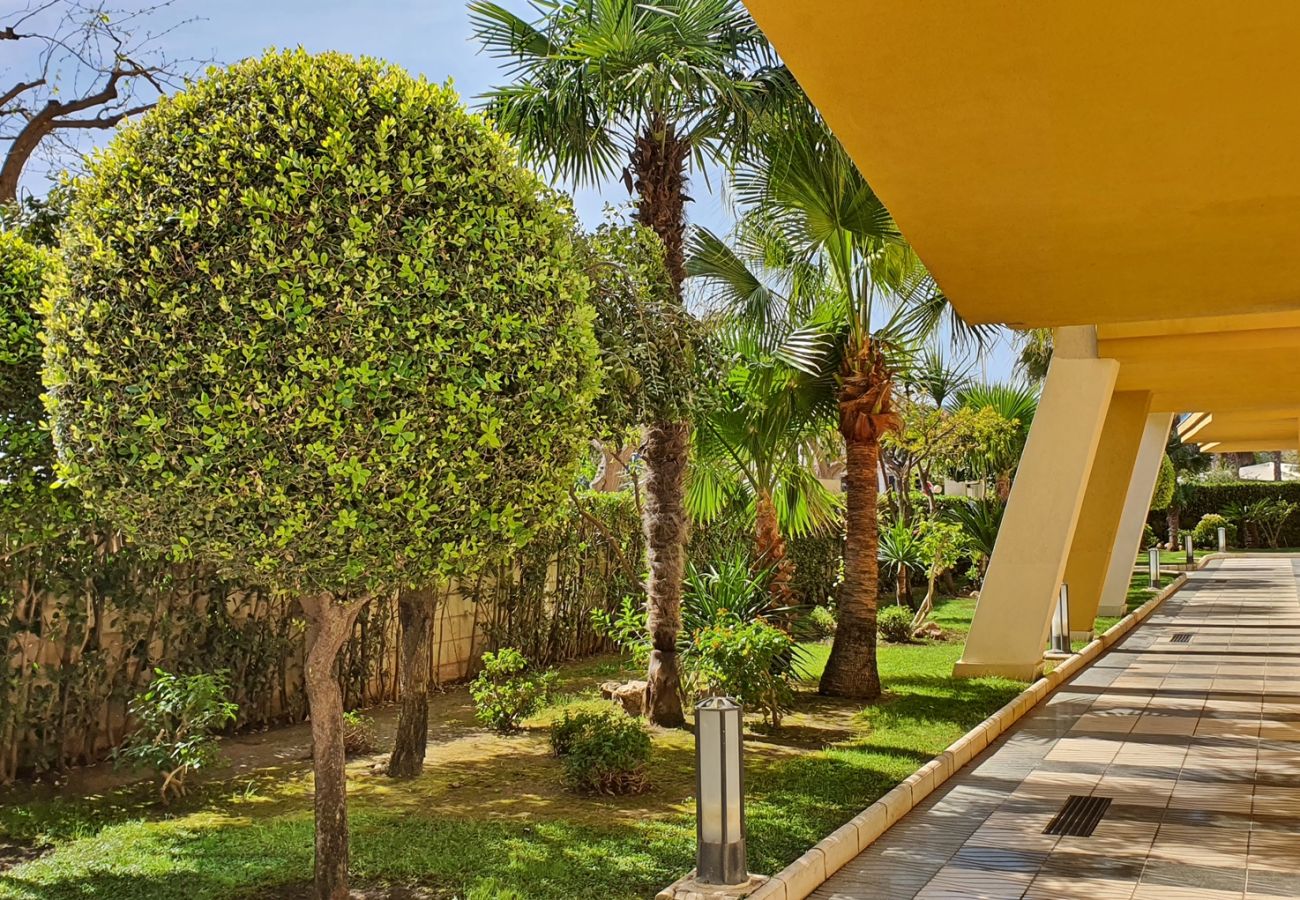 Apartamento en Gandia - DEVESA PARK 10 - 9º - 18ª   /  PLAYA DE GANDIA