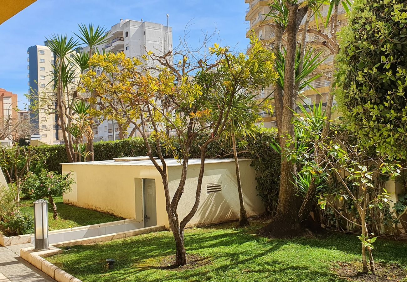 Apartamento en Gandia - DEVESA PARK 10 - 9º - 18ª   /  PLAYA DE GANDIA
