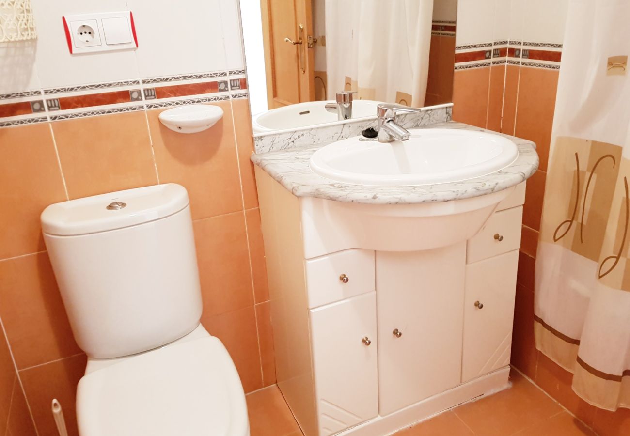 Apartamento en Gandia - EL EDEN BL II - 2ª - 8º - C   /   PLAYA DE GANDIA